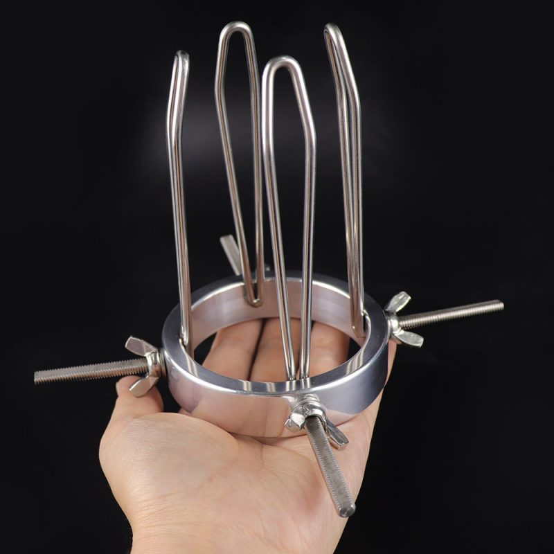 Stainless steel anal hook with multiple tentacle-like prongs for adult pleasure and BDSM play.