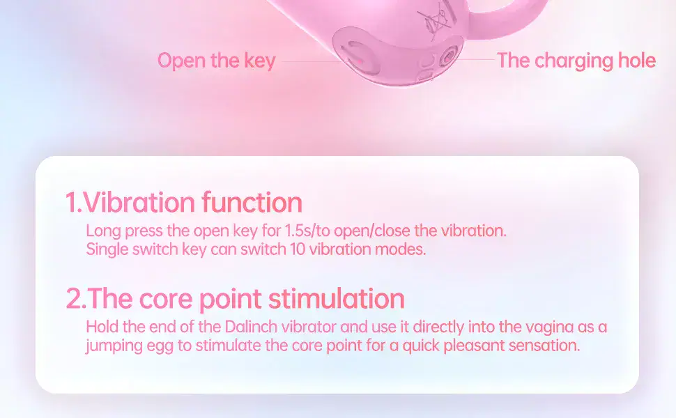 LETTURN Vibrator Clitoris and G Spot Nipple Stimulator Vibrator Massager Bullet Vibrating Vagina Dildo USB Rechargeable Portable