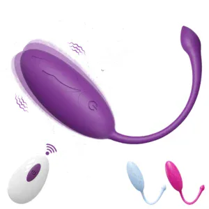 Wireless remote control vibrator for enhanced pleasure and convenience.