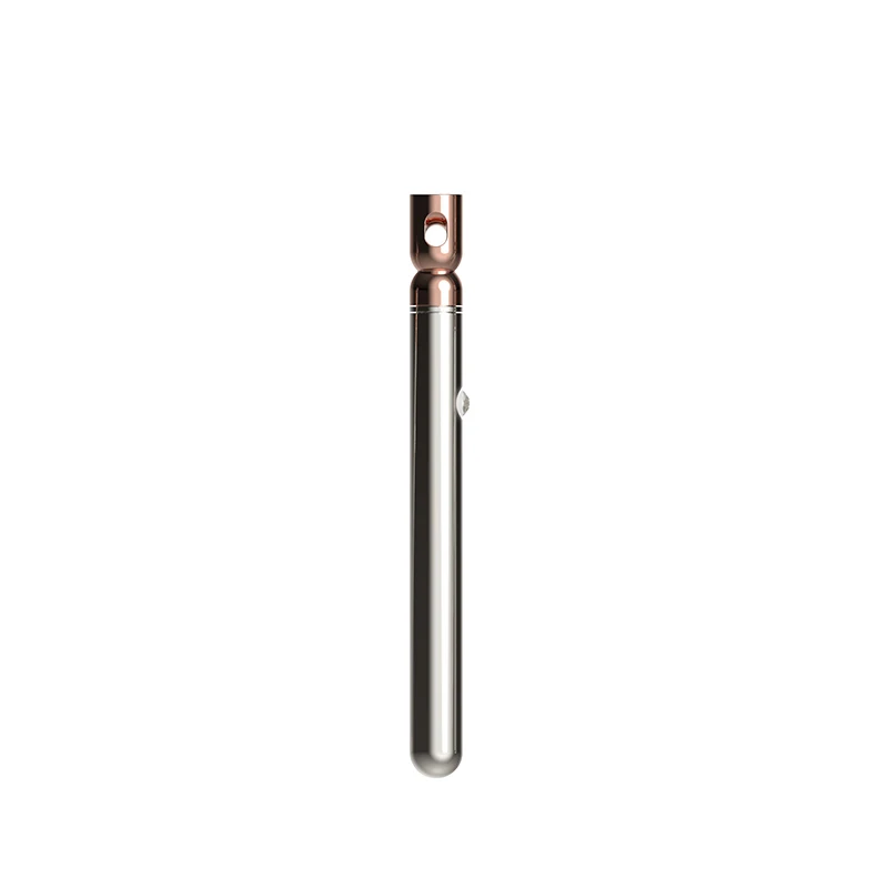 Vibratore per collana in acciaio inossidabile con 10 modalità, IPX6 Stainless Steel Necklace Vibrator with 10 Modes IPX6 12 25 Stainless Steel Necklace Vibrator with 10 Modes IPX6 12
