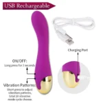 Purple USB rechargeable vibrator with gold accents and charging cable.